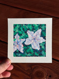 White Azaleas 4x4 Original Oil Pastel Drawing