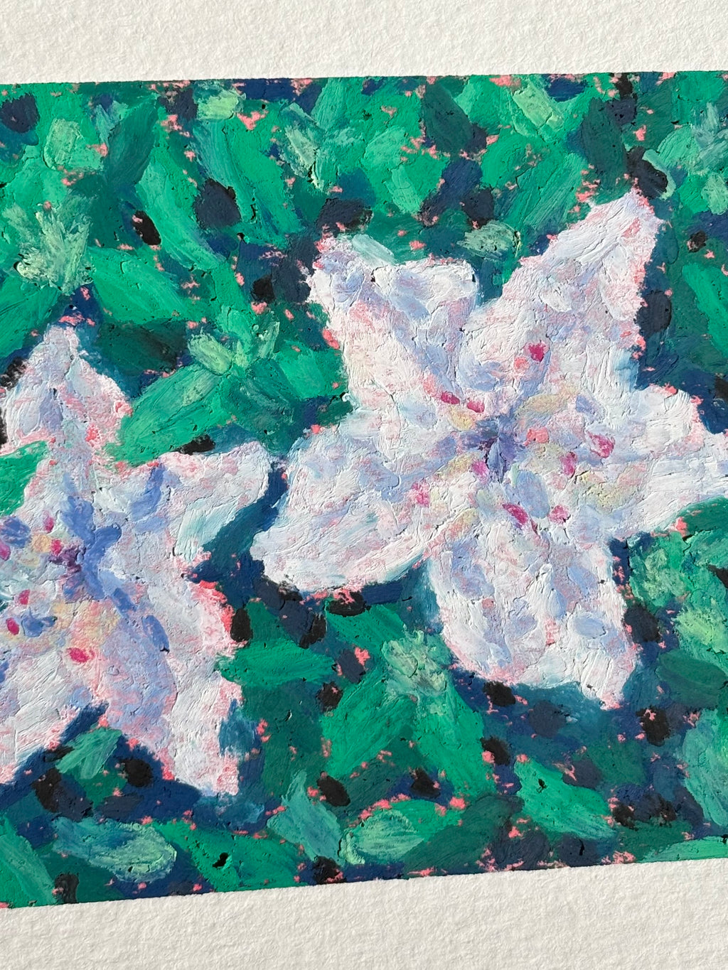 White Azaleas 4x4 Original Oil Pastel Drawing