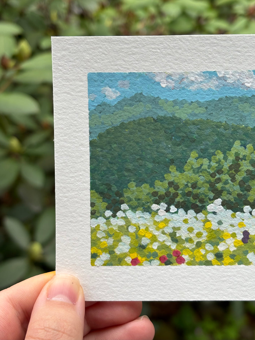 Wildflowers in the Mountains 4x4 Gouache Original Painting