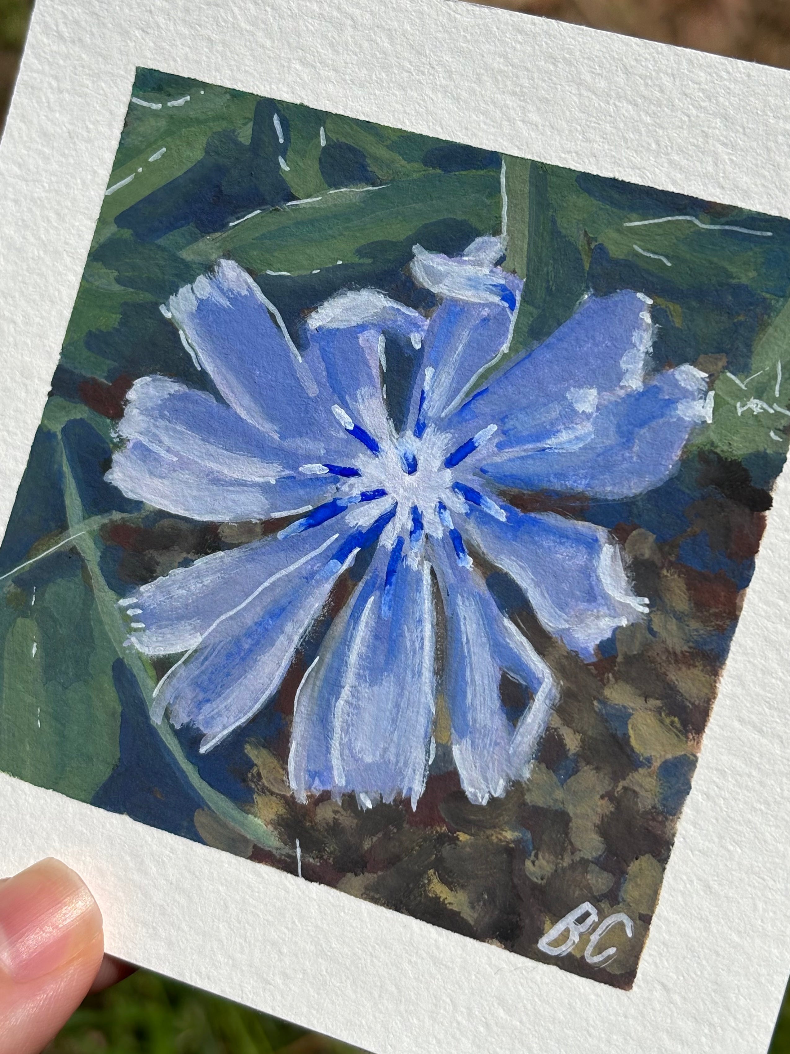 Morning Chicory 4x4 Gouache Original Painting