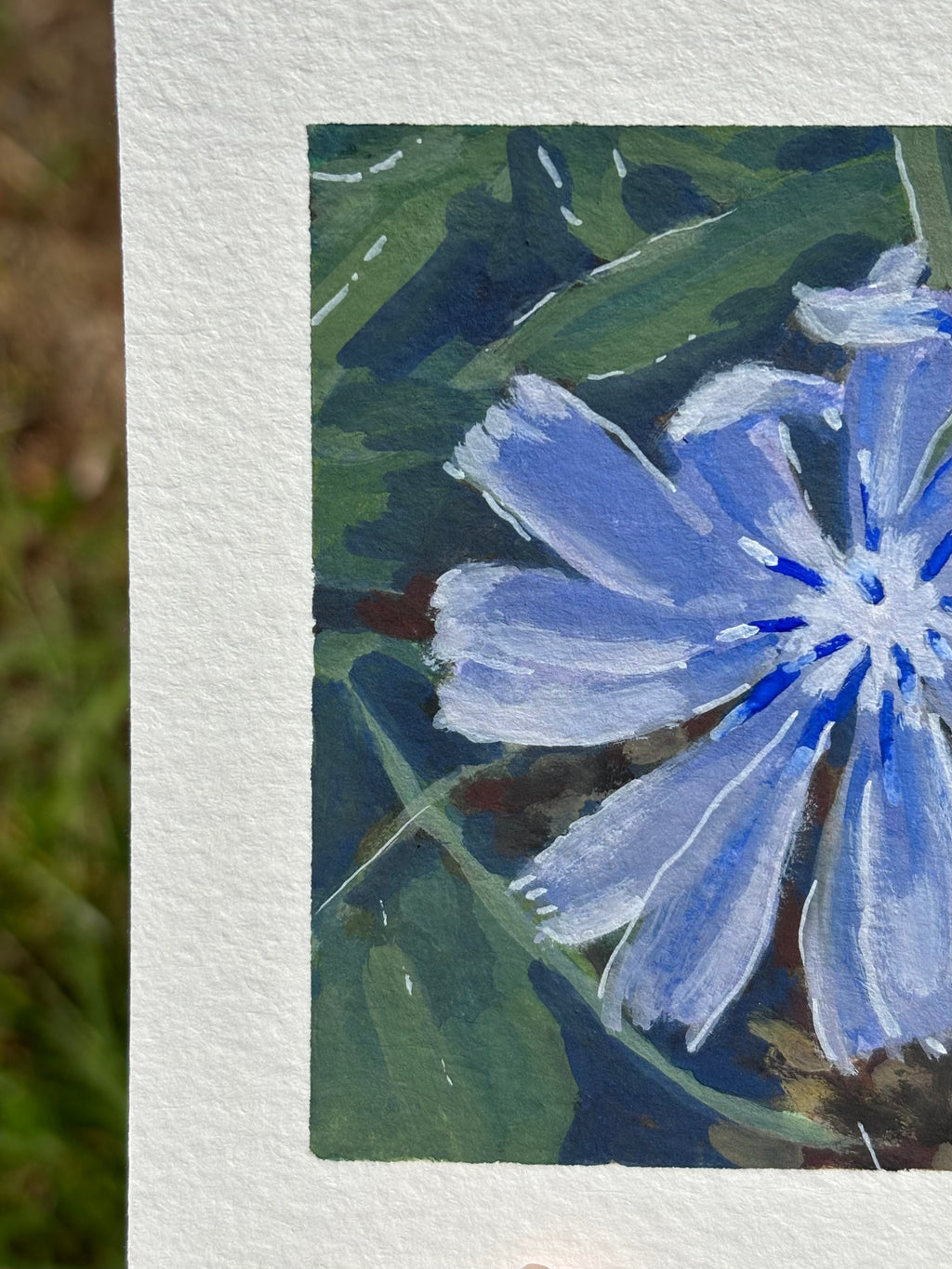 Morning Chicory 4x4 Gouache Original Painting