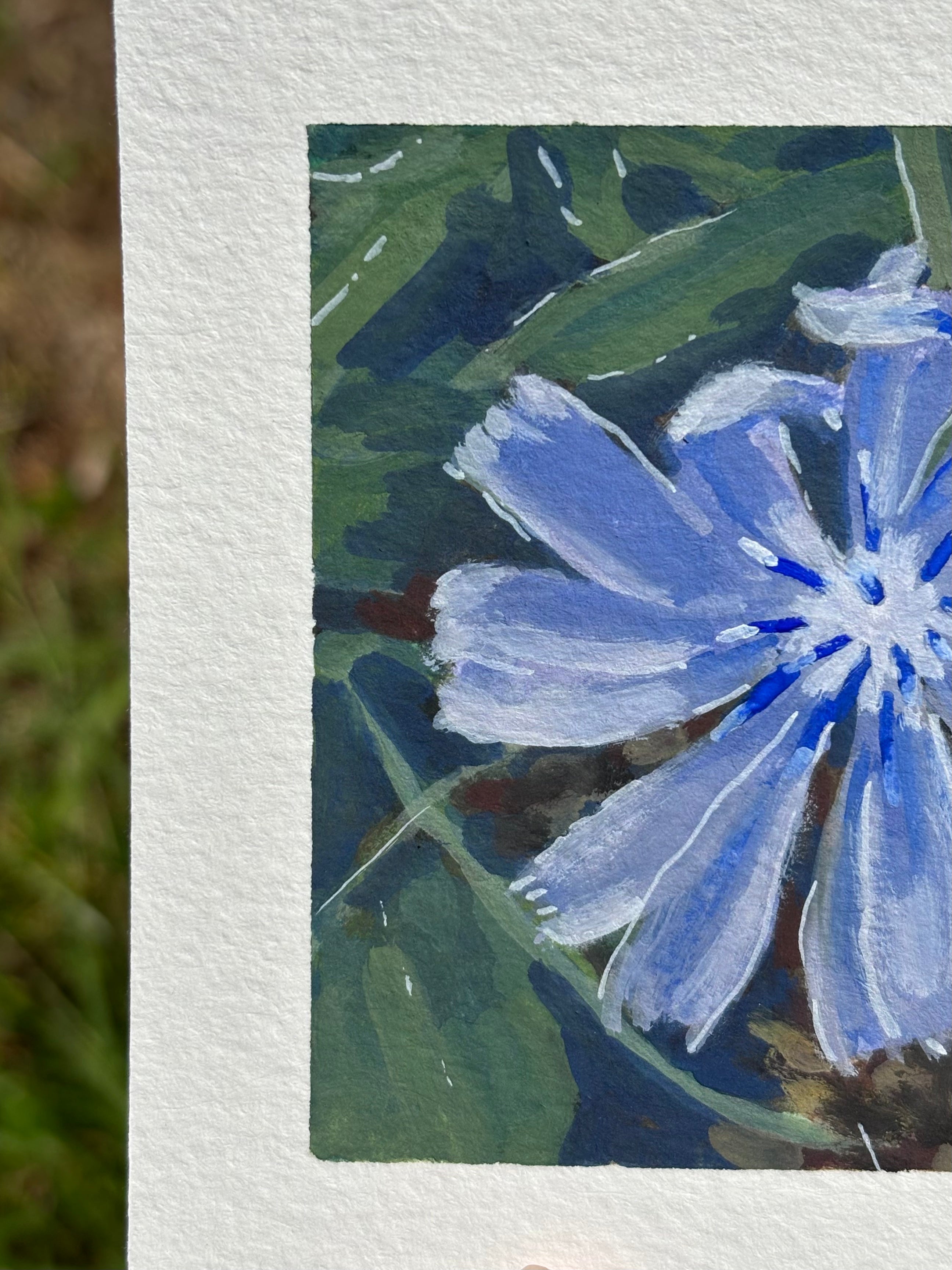Morning Chicory 4x4 Gouache Original Painting