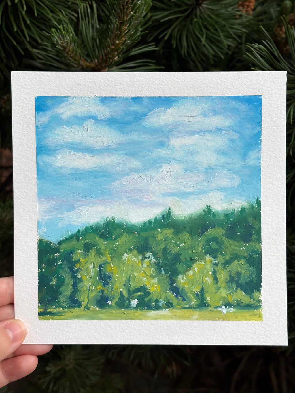 Washington Drive 6x6 Original Oil Pastel Drawing