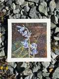 #38 6x6 Original Gouache Painting