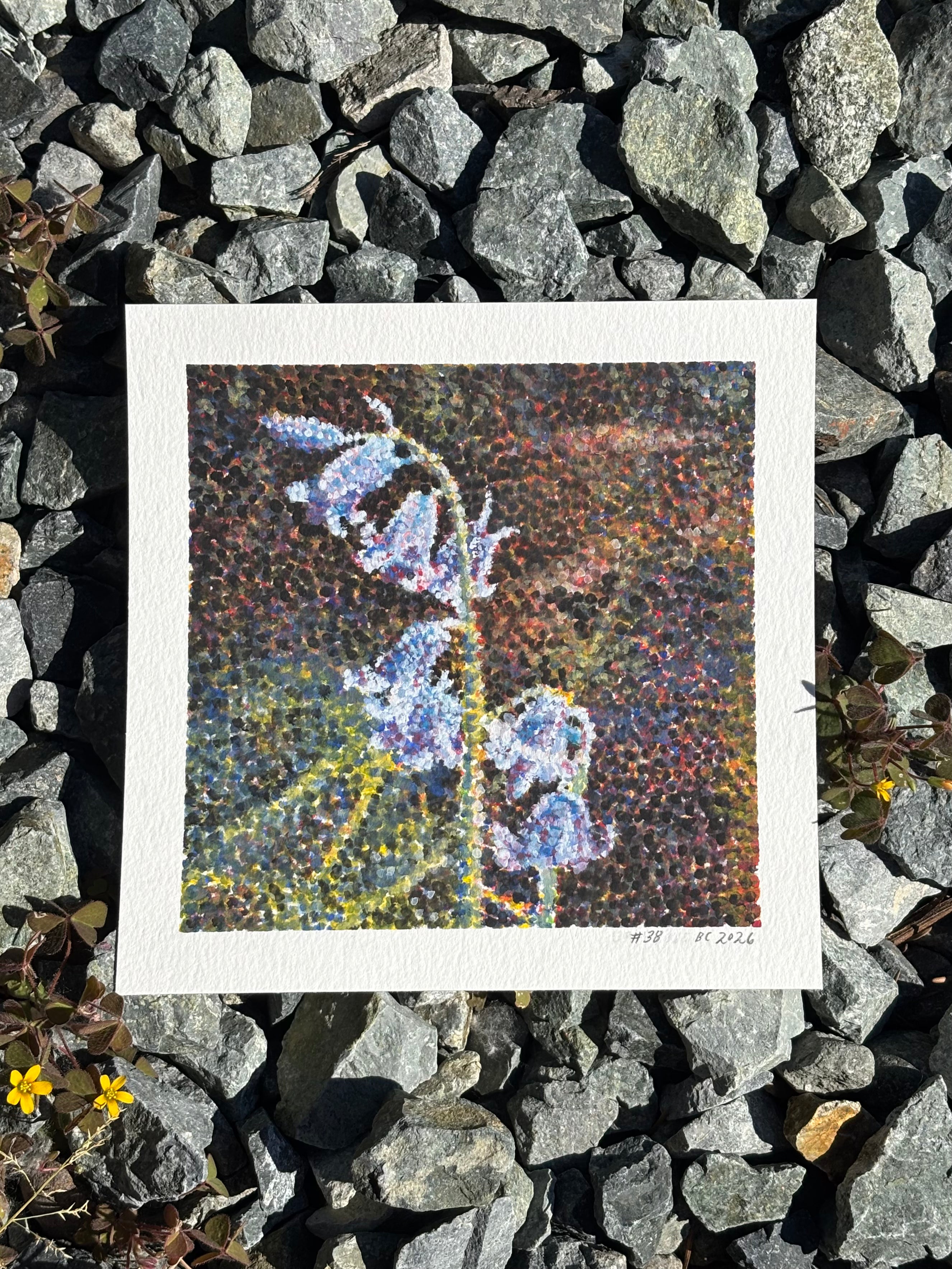 #38 6x6 Original Gouache Painting