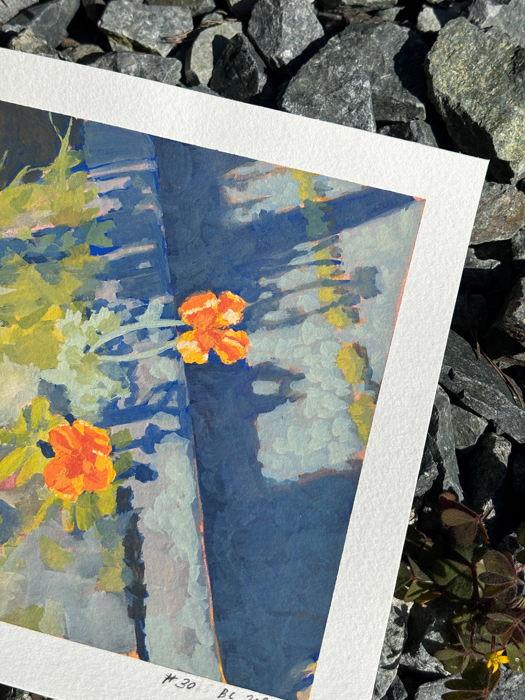 #30 6x6 Original Gouache Painting