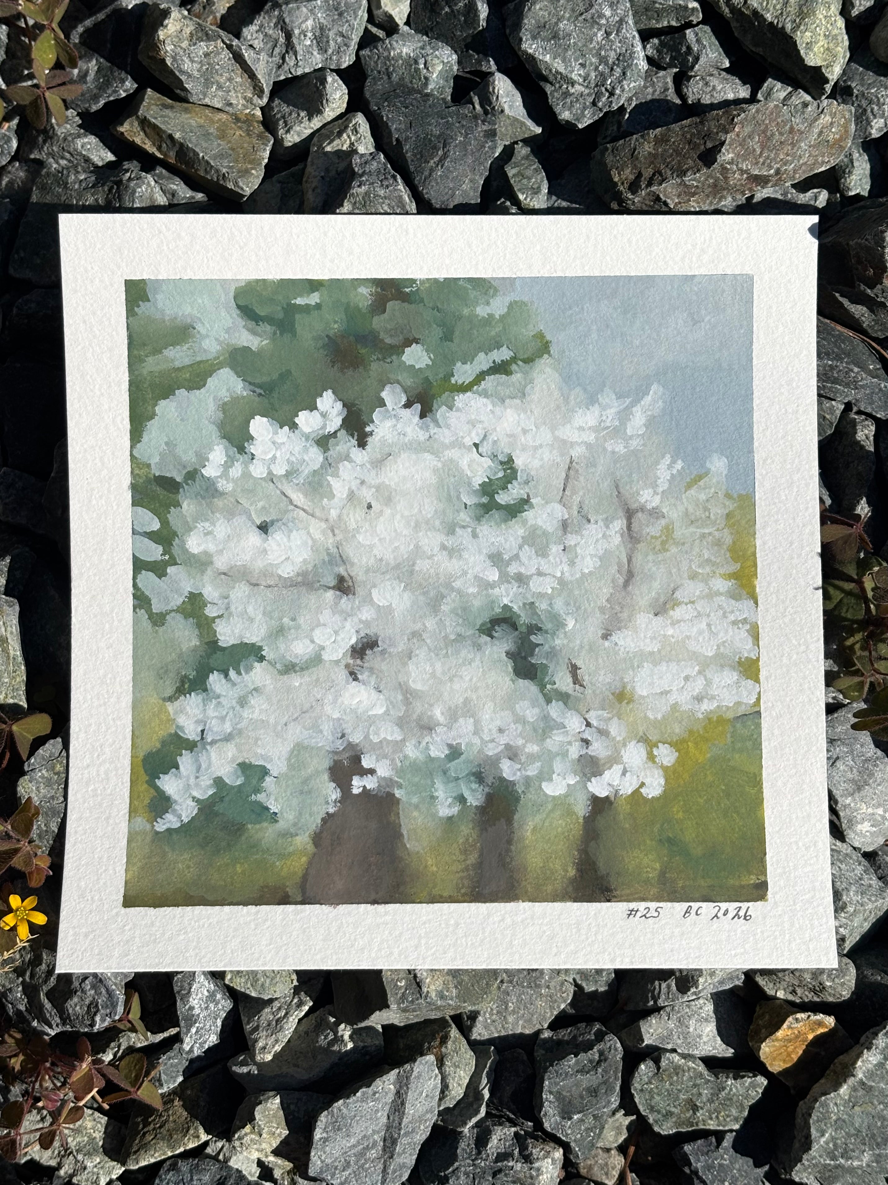#25 6x6 Original Gouache Painting