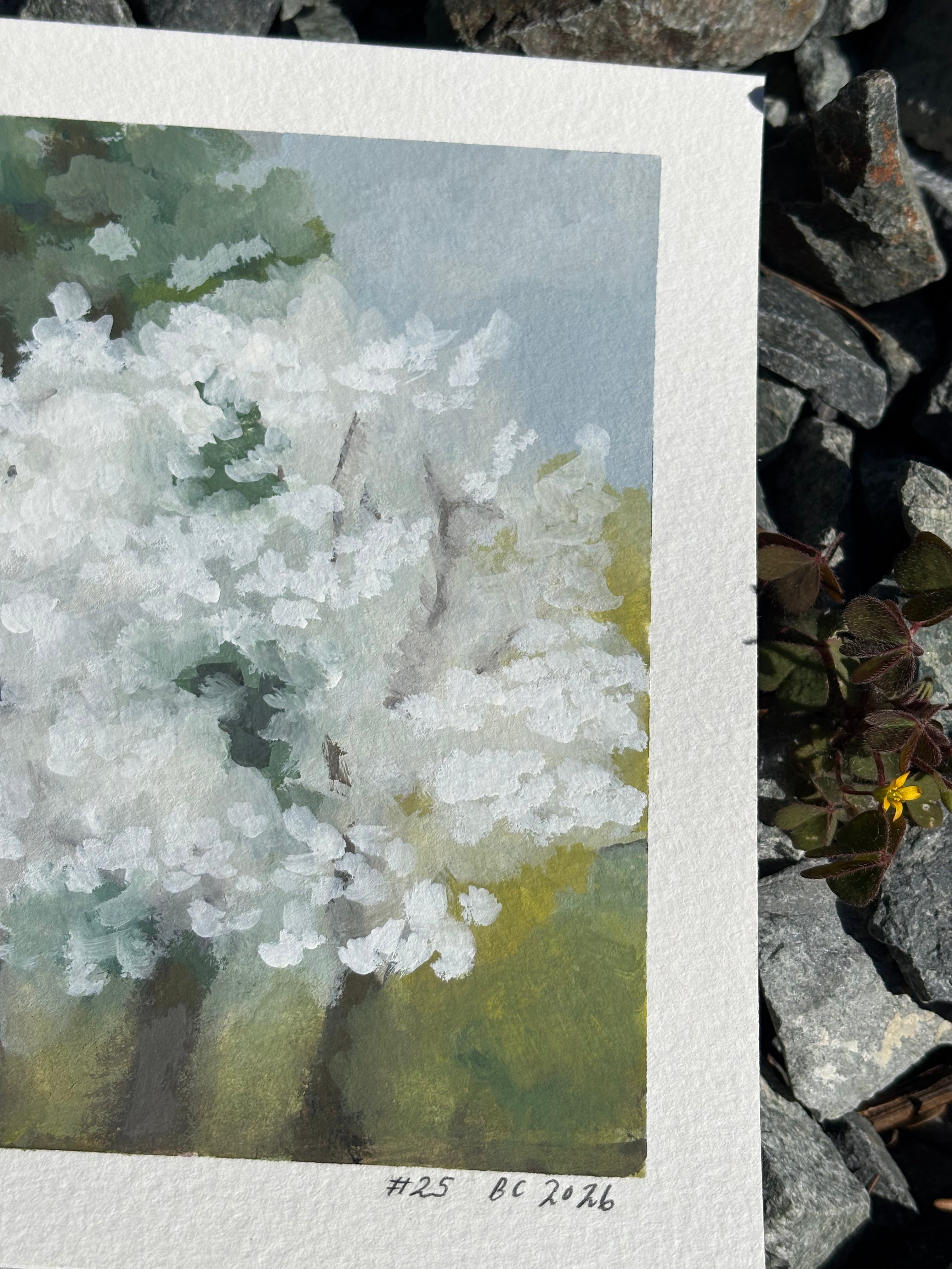 #25 6x6 Original Gouache Painting