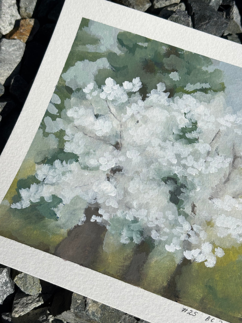 #25 6x6 Original Gouache Painting
