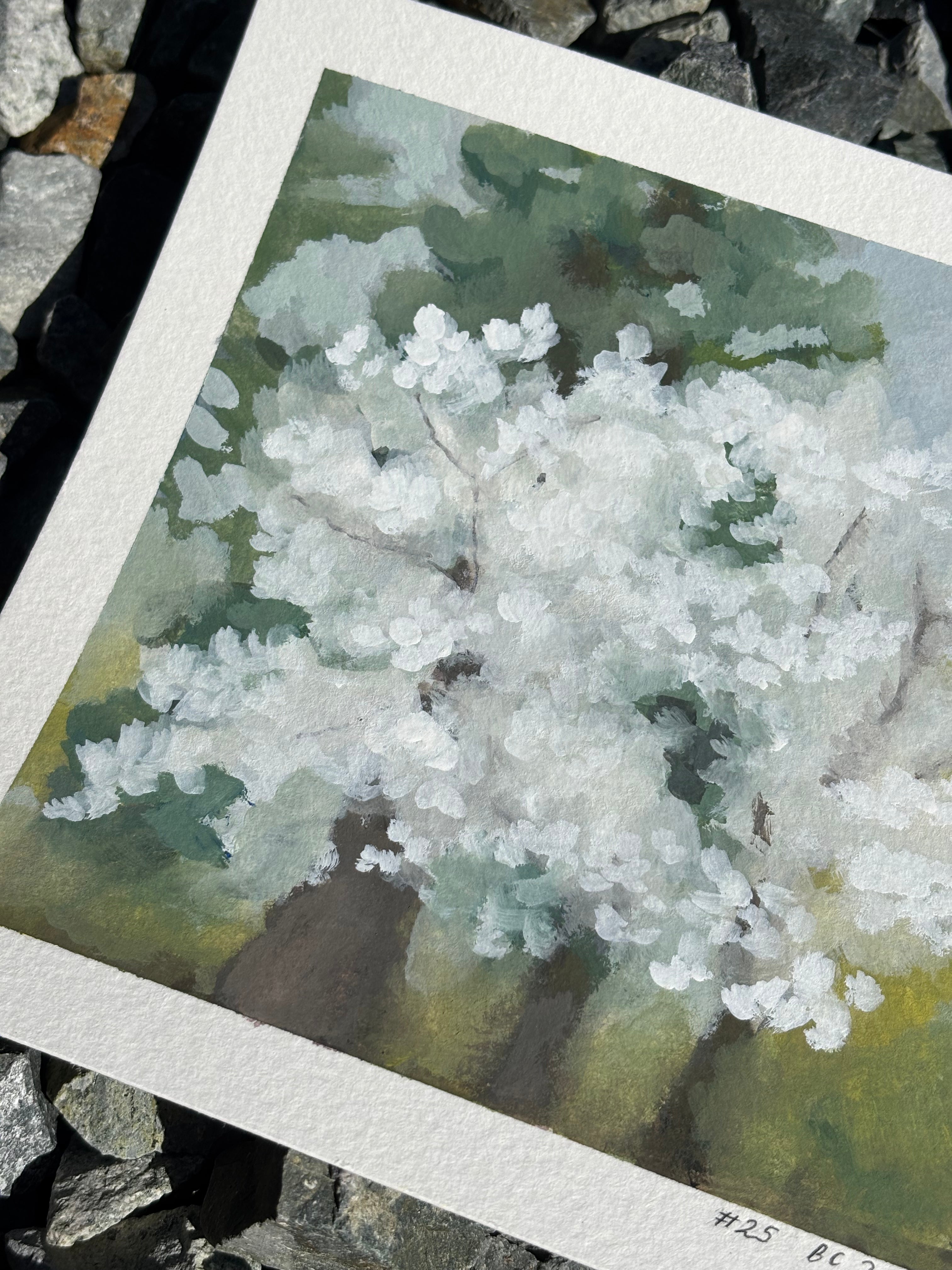 #25 6x6 Original Gouache Painting