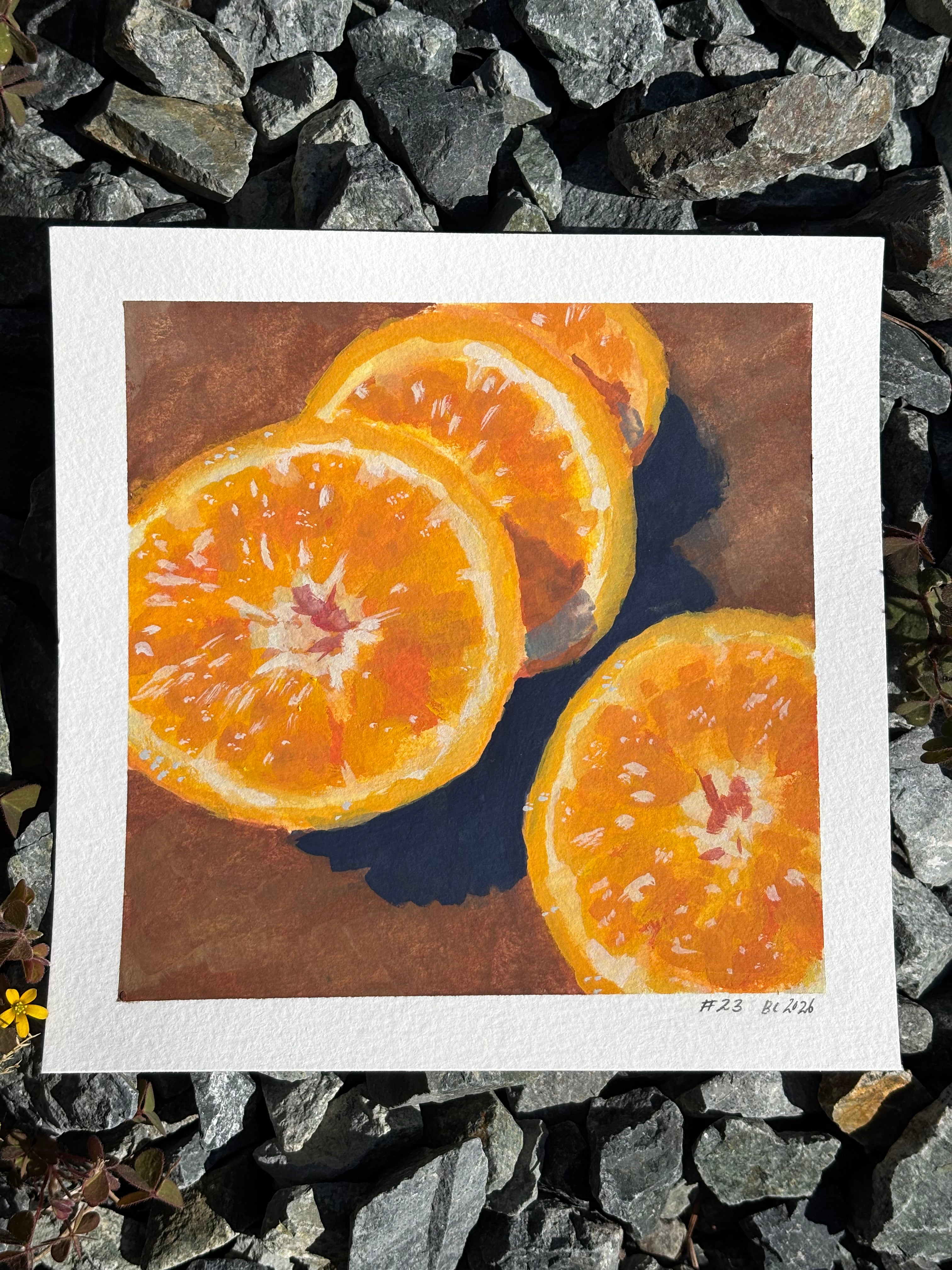 #23 6x6 Original Gouache Painting