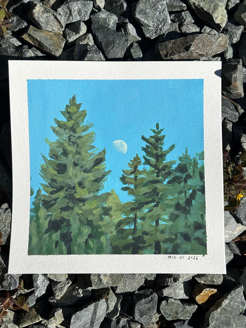#15 6x6 Original Gouache Painting