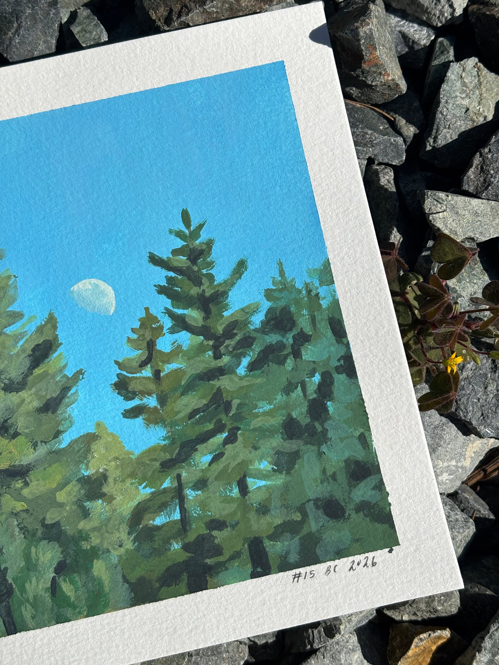 #15 6x6 Original Gouache Painting