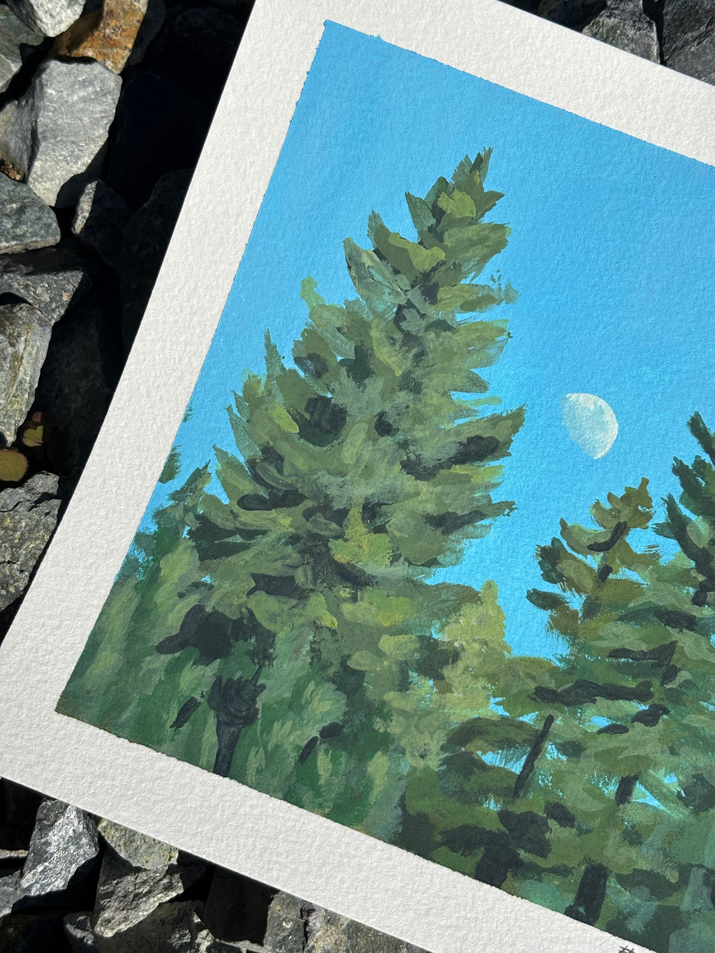 #15 6x6 Original Gouache Painting