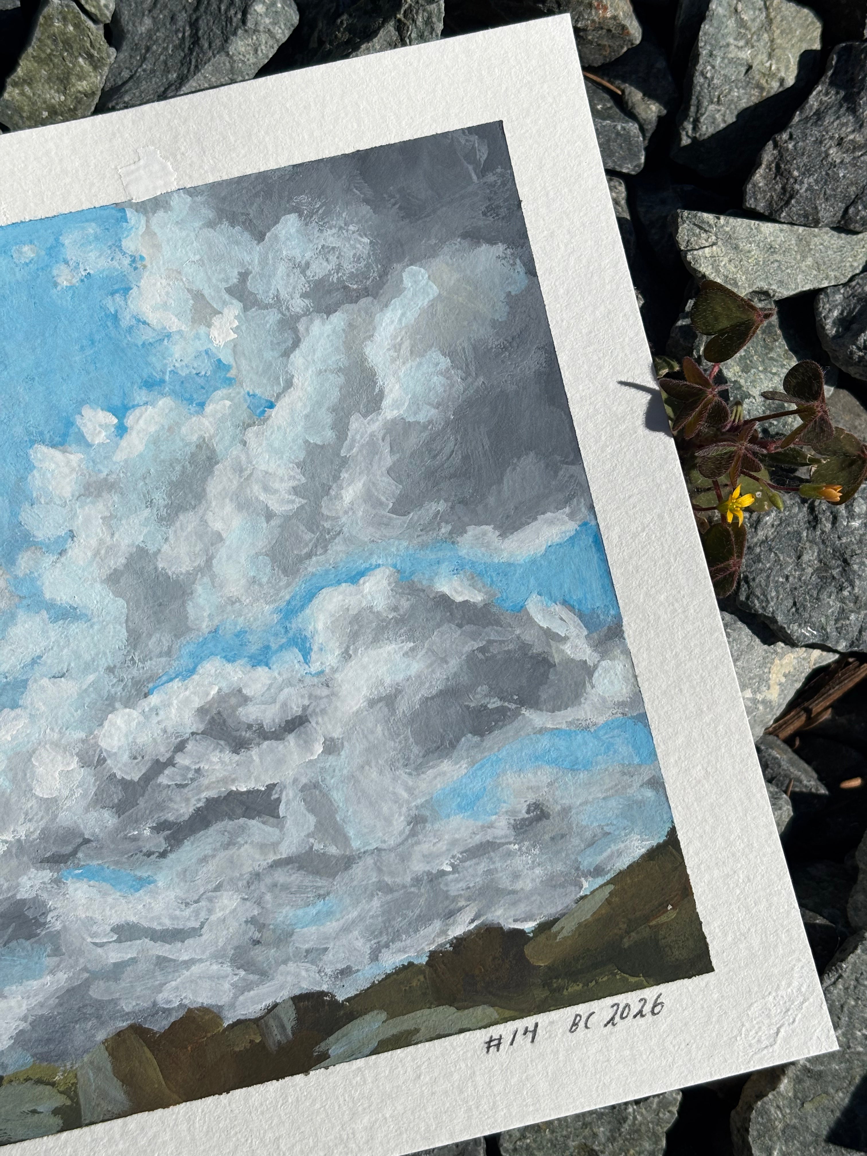#14 6x6 Original Gouache Painting