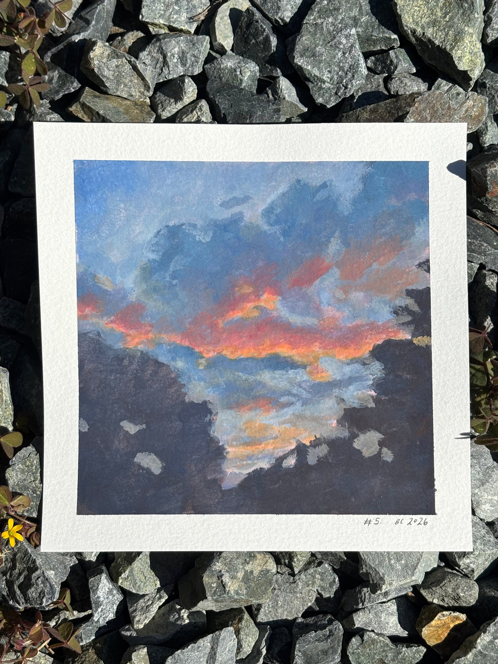#5 6x6 Original Gouache Painting